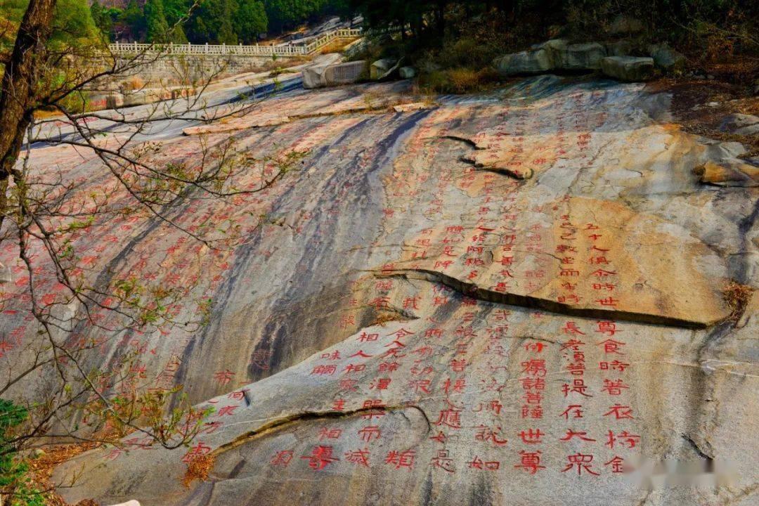 逗比英雄
